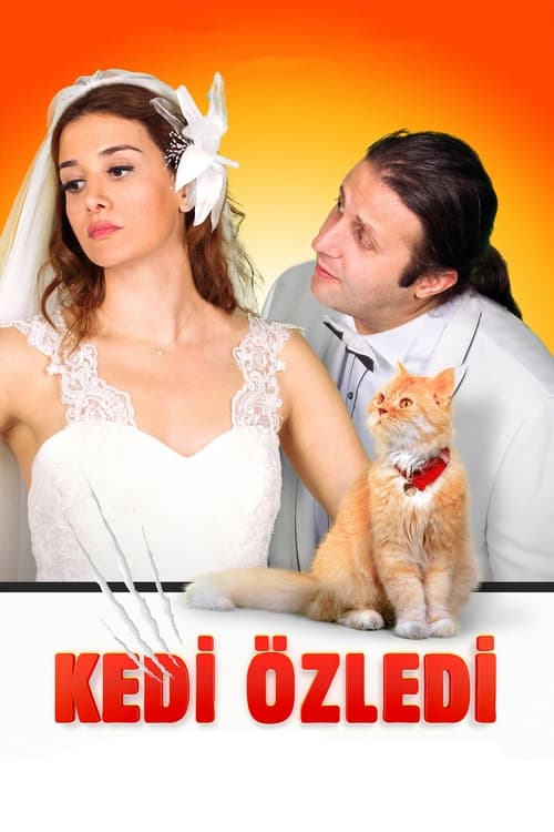 Kedi Özledi (2013)